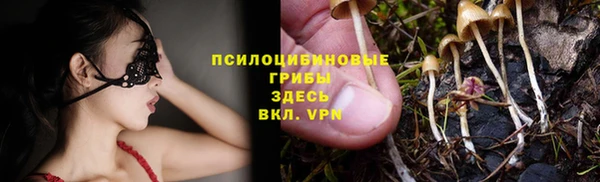 mdma Снежногорск